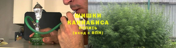 трава Медногорск