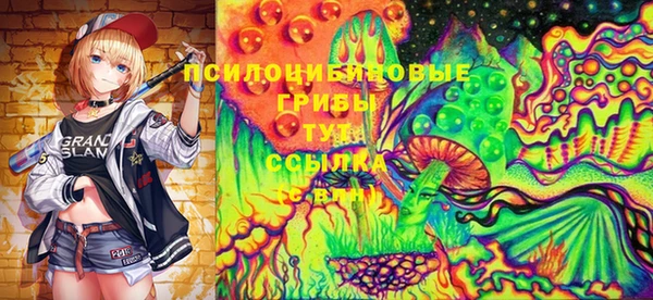 метадон Гусев