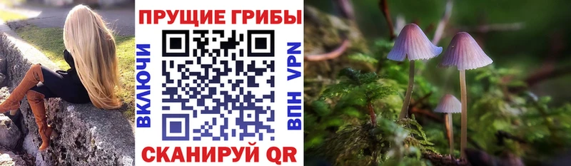 Псилоцибиновые грибы MAGIC MUSHROOMS  где продают наркотики  Долинск 